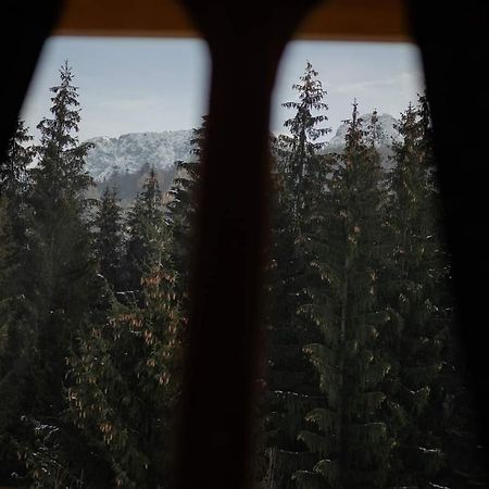 Chata Tatritis Kościelisko Dış mekan fotoğraf