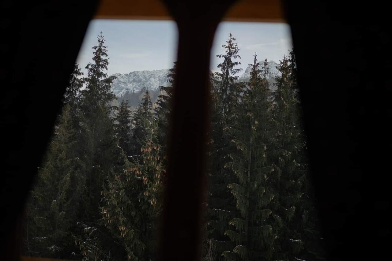 Chata Tatritis Kościelisko Dış mekan fotoğraf